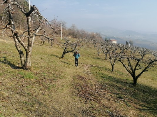 salita a Monte Solane salita a Monte Solane