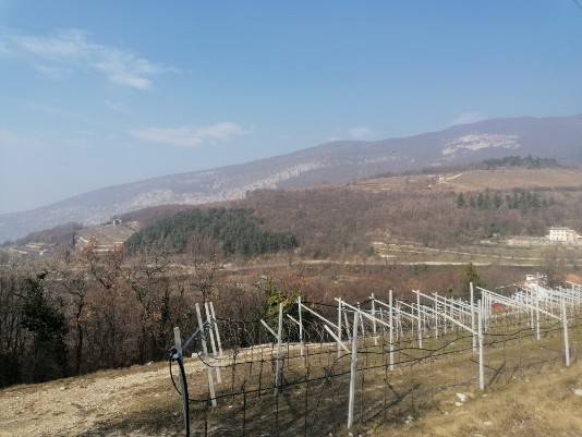 il Pastello visto da Monte Solane il Pastello visto da Monte Solane