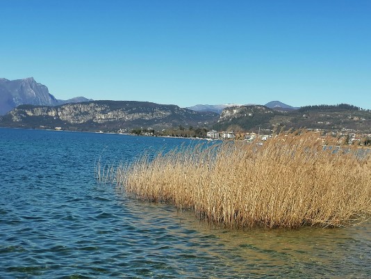 Cisano Lungolago Cisano Lungolago