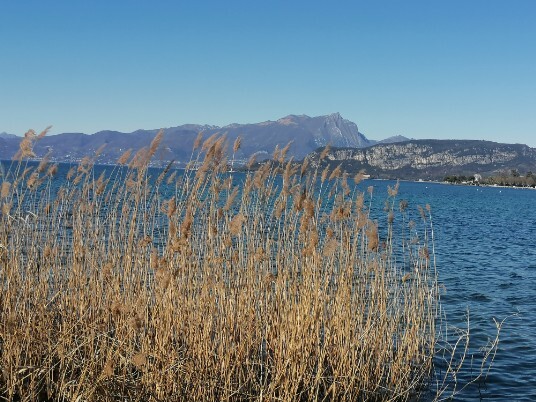 Cisano Lungolago Cisano Lungolago
