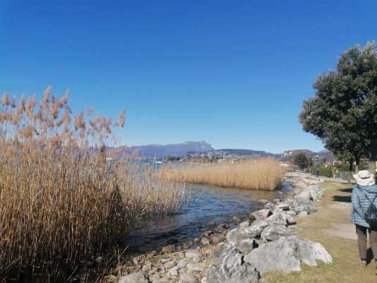 Cisano Lungolago Cisano Lungolago