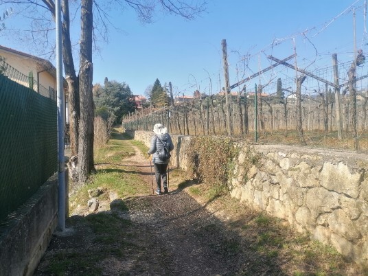 sterrato e poi in salita Monte Mattonara sterrato e poi in salita Monte Mattonara