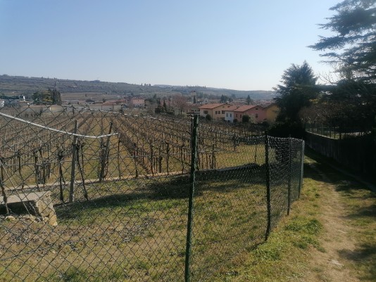 sterrato e poi in salita Monte Mattonara sterrato e poi in salita Monte Mattonara