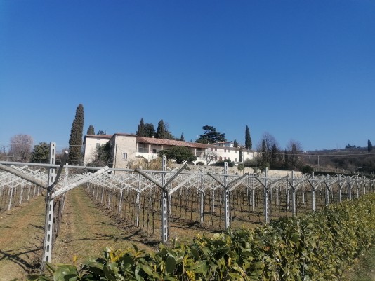 Villa di Valgatara Villa di Valgatara