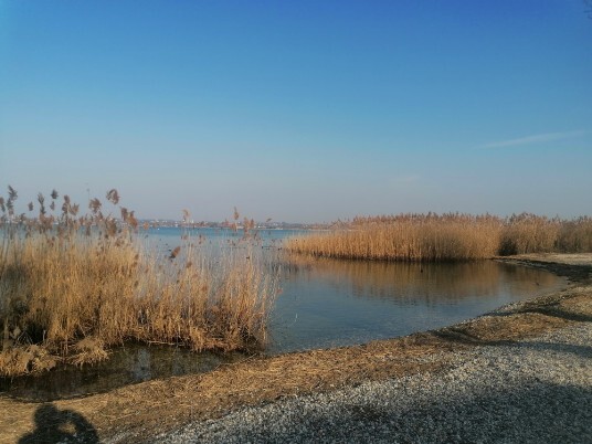 Lungolago Peschiera - cappuccini-Bergamini Lungolago Peschiera - cappuccini-Bergamini