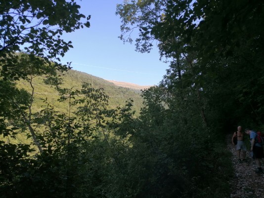 sorasengi Sorasengi