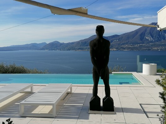 un opera d'arte che ammira il panorama del Lago un opera d'arte che ammira il panorama del Lago