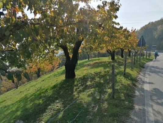 Via Stravalle Via Stravalle