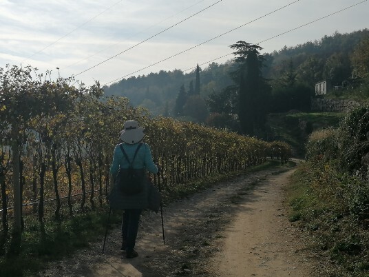 verso Cavarena verso Cavarena