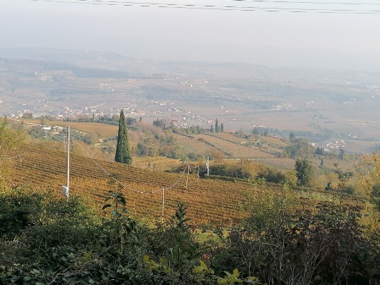 Panorami da Cavarena Panorami da Cavarena
